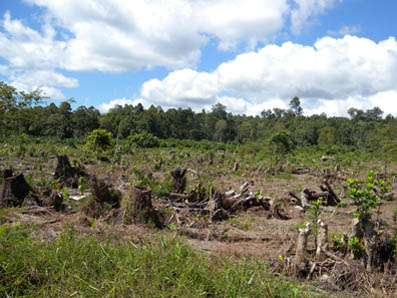 Habitat Management