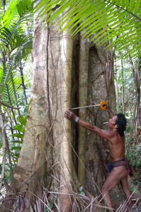 Indigenous Flora and Fauna